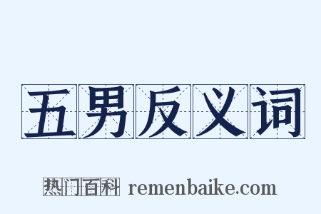 五男反义词是什么意思的图片